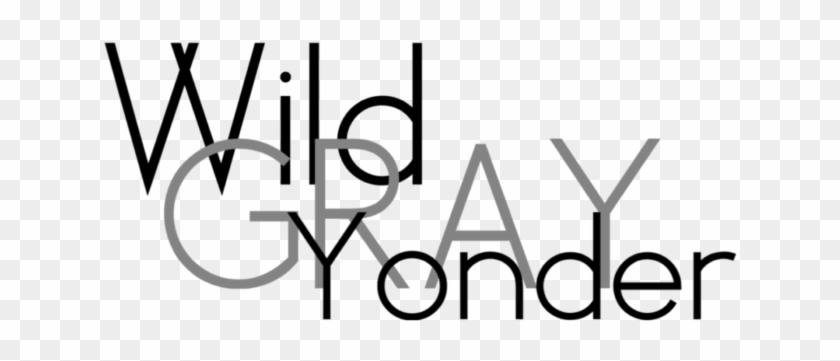 Wild Gray Yonder - Wild Gray Yonder #1515299