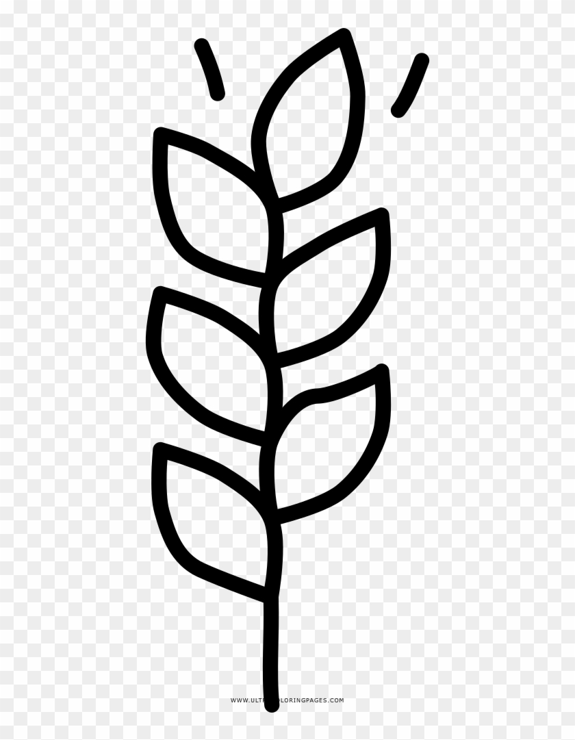 And Wheat Coloring Page - And Wheat Coloring Page #1515688
