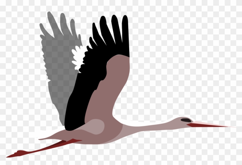 All Photo Png Clipart - All Photo Png Clipart #1515978