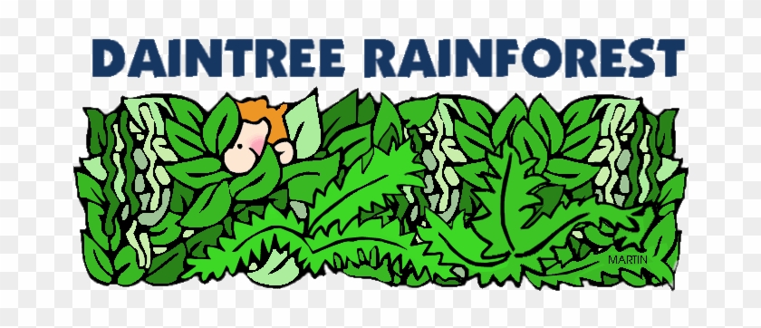 Daintree National Park - Daintree National Park #1516223