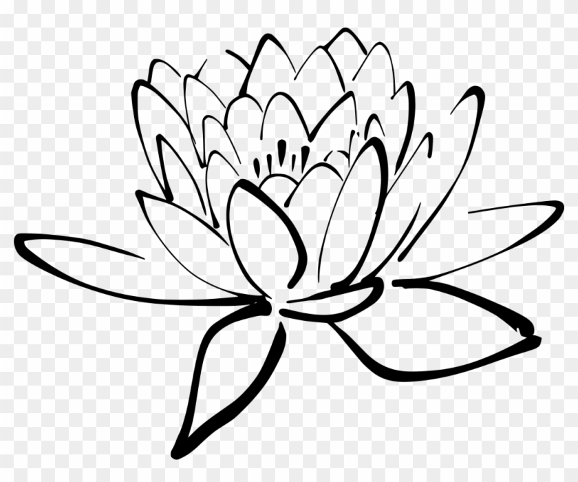 Clipart Transparent Stock Svg Botanical Botany Floral - Clipart Transparent Stock Svg Botanical Botany Floral #1516966