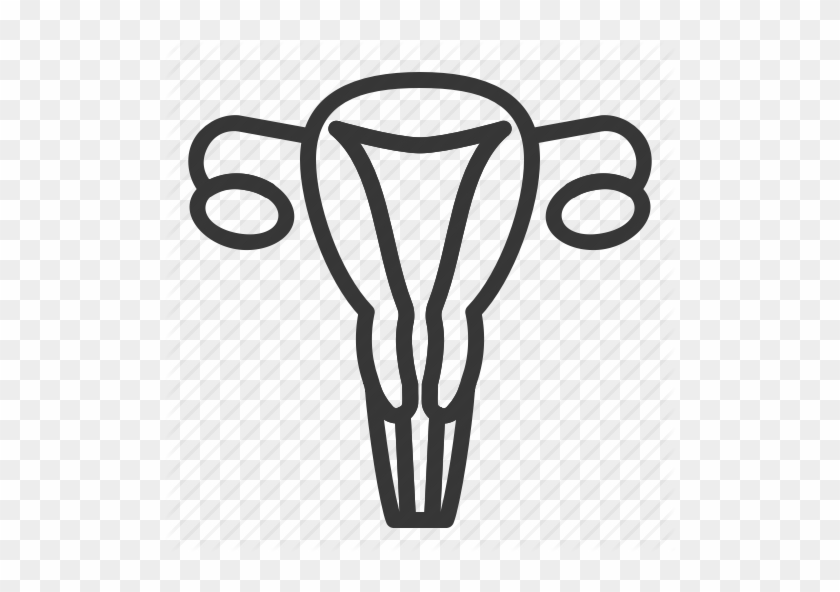 Drawing Medicine Uterus - Drawing Medicine Uterus #1517887