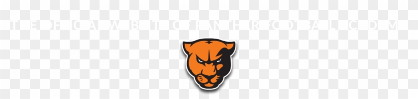 Panther Football Academy - Panther Football Academy #1518188