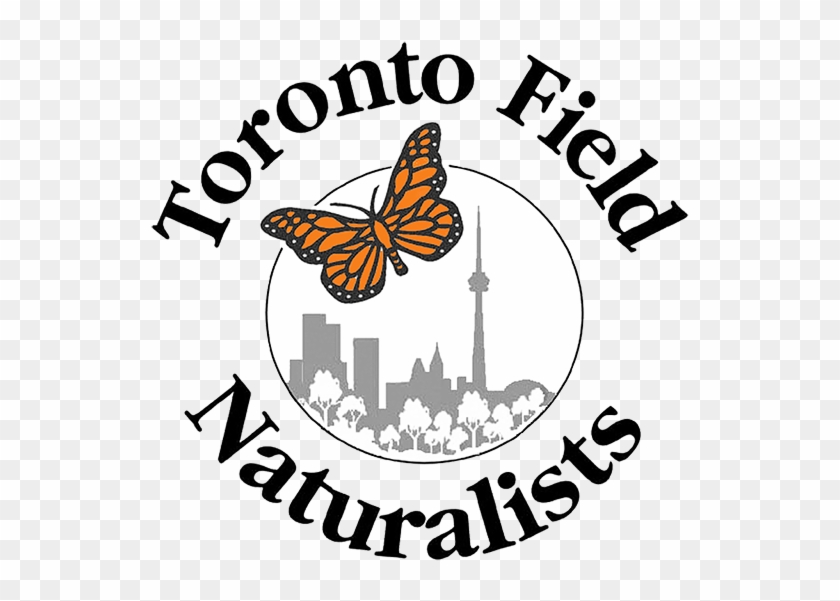 Toronto Field Naturalists - Toronto Field Naturalists #1518236