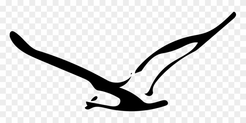 Gulls Bird Drawing Computer - Gulls Bird Drawing Computer #1519001