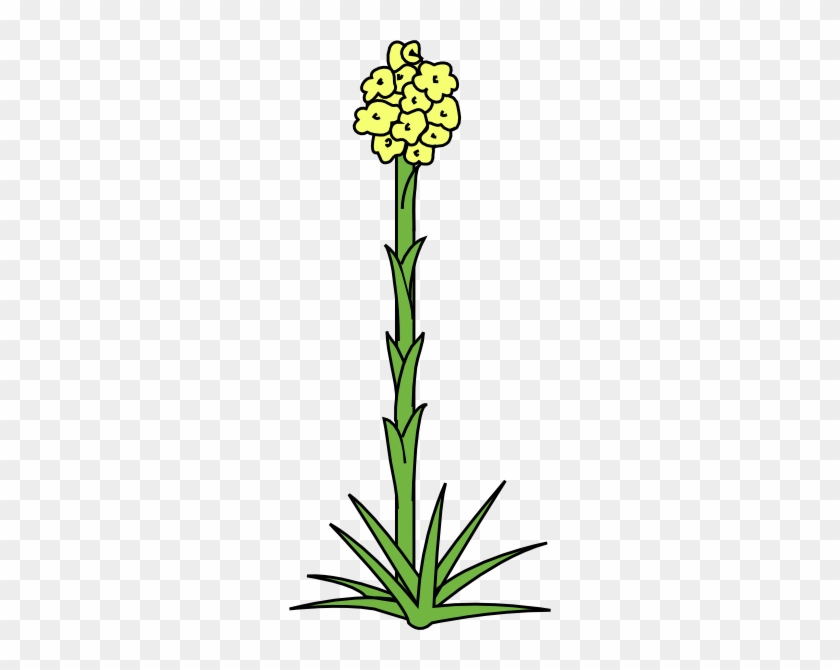 Original Png Clip Art File Plant Flower Svg Images - Original Png Clip Art File Plant Flower Svg Images #1519087