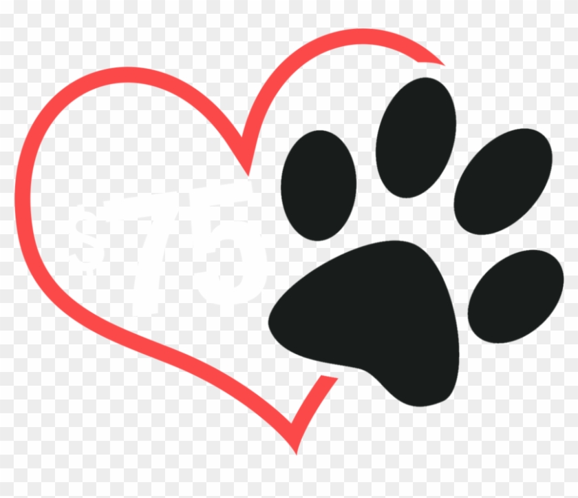Route 66 Pet Rescue Png Transparent Stock - Route 66 Pet Rescue Png Transparent Stock #1519114