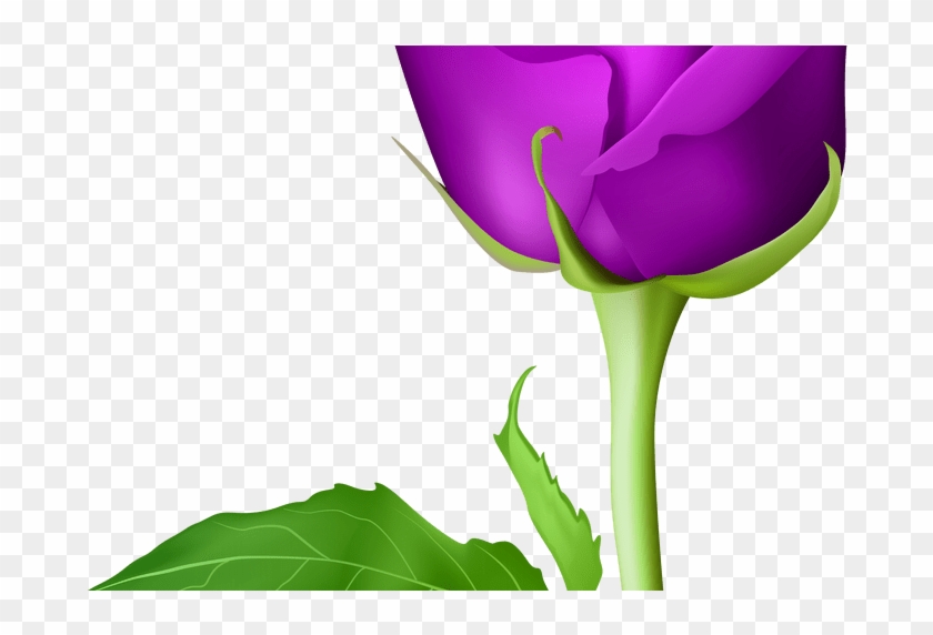Rose Purple Transparent Png Clip Art Image Gallery - Rose Purple Transparent Png Clip Art Image Gallery #1519610