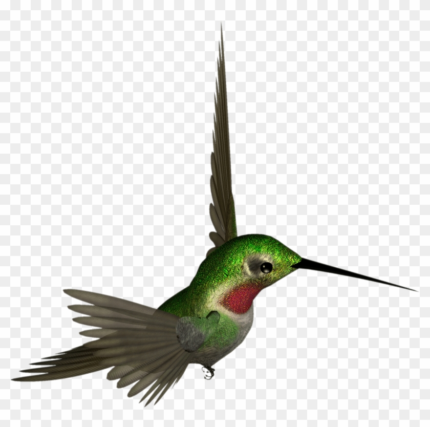 Free High Resolution Clip Art - Free High Resolution Clip Art #1520968