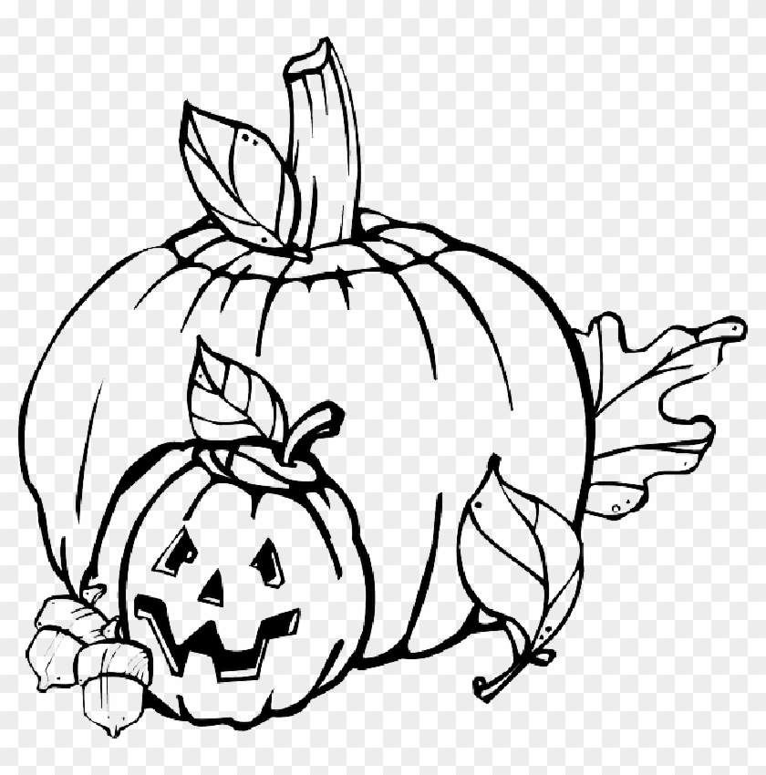 Png Black And White Library Plant Drawing At Getdrawings - Png Black And White Library Plant Drawing At Getdrawings #1520993