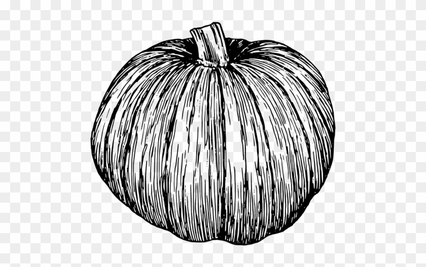 Image Transparent Stock Drawing At Getdrawings Com - Image Transparent Stock Drawing At Getdrawings Com #1520999