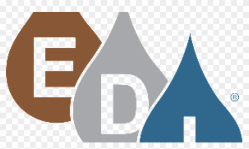 Calling Foul With Edi - Calling Foul With Edi #1521028