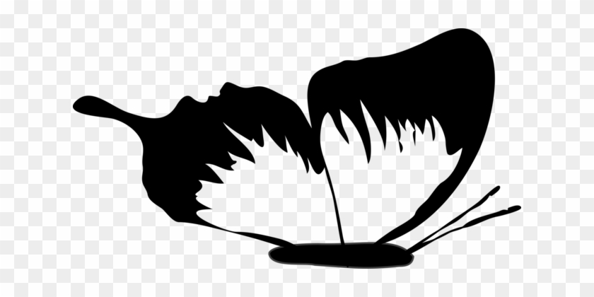Butterfly Silhouette Black And White Download Drawing - Butterfly Silhouette Black And White Download Drawing #1521336