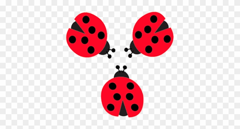 Ladybug - Ladybug #1522142