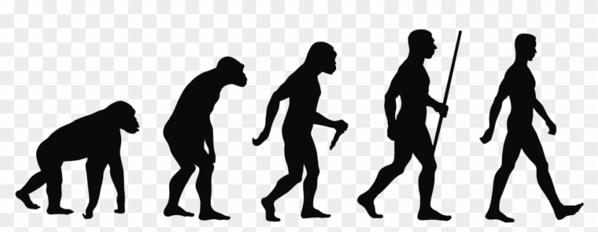 Evolution Transparent Chain Human - Evolution Transparent Chain Human #1523669