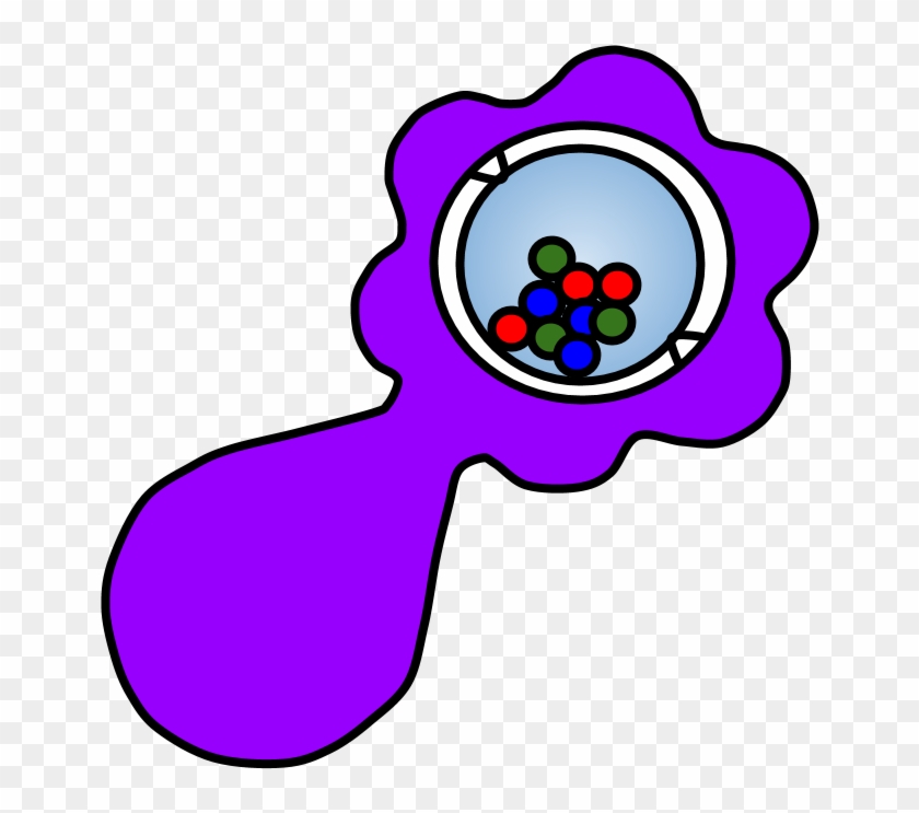 Rattles - Rattles #1523744