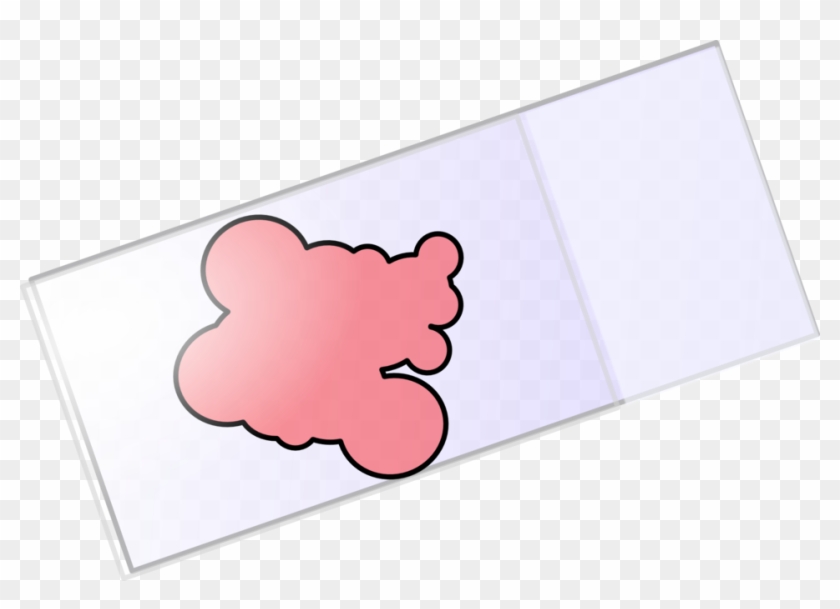 Coverslipped Slides - Coverslipped Slides #1523905