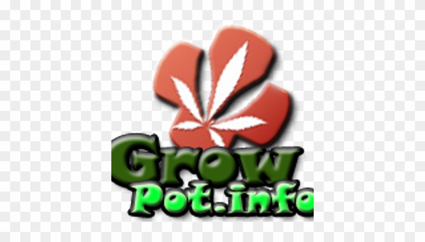 Grow Marijuana - Grow Marijuana #1524445