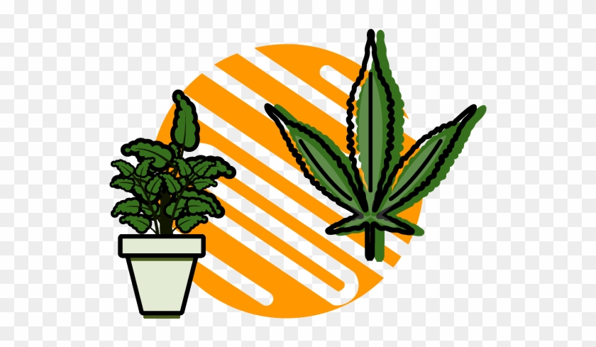 Hybrid - Hybrid #1524449