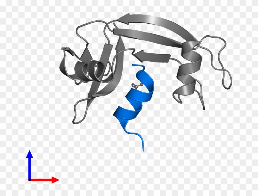<div Class='caption-body'>pdb Entry 1d5h Contains 1 - <div Class='caption-body'>pdb Entry 1d5h Contains 1 #1524947