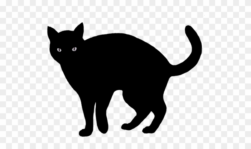 Animals Pics - Animals Pics #1524955
