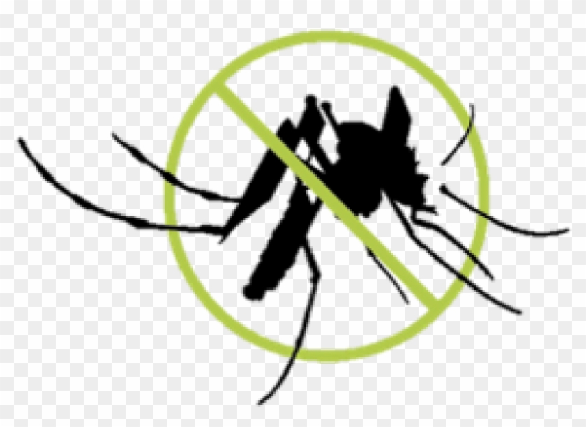 Natural Mosquito Repellent Spray 100ml - Natural Mosquito Repellent Spray 100ml #1525282