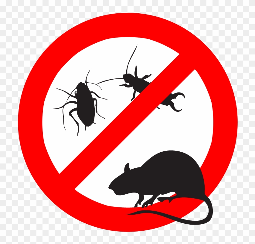 Insect And Pest Repellent - Insect And Pest Repellent #1525303
