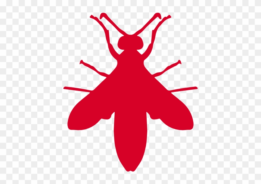 6 ∙ Insect Repellent - 6 ∙ Insect Repellent #1525304