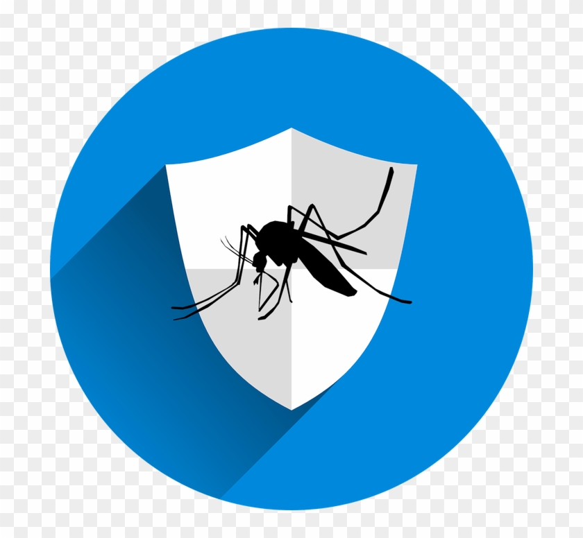 Insects Clipart Mozzie - Insects Clipart Mozzie #1525306