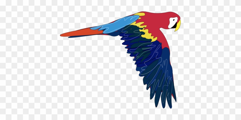 Parrots Bird Blue And Yellow Macaw - Parrots Bird Blue And Yellow Macaw #1525539