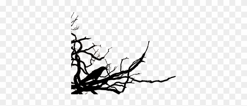 Sleepy Hollow - - Sleepy Hollow - #1525616