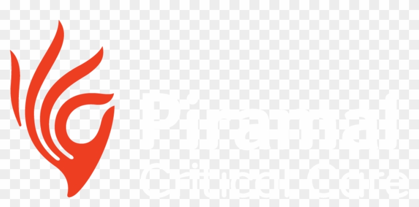 Piramal Critical Care - Piramal Critical Care #1525734
