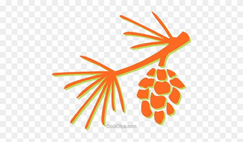 Pine Leaves And Pinecone Royalty Free Vector Clip Art - Pine Leaves And Pinecone Royalty Free Vector Clip Art #1526006