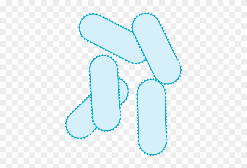 Bacteria Png Picture - Bacteria Png Picture #1526739