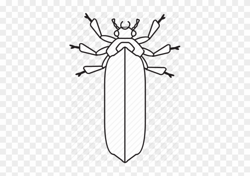 Black And White Bugs - Black And White Bugs #1527314