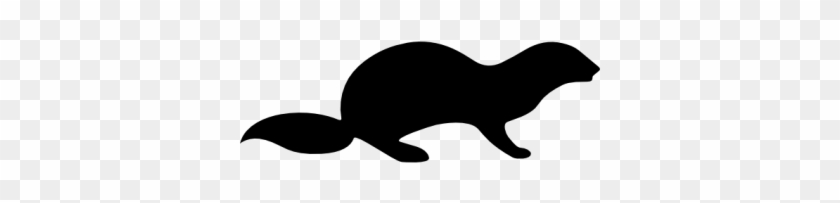 Otter Animals - Otter Animals #1528303