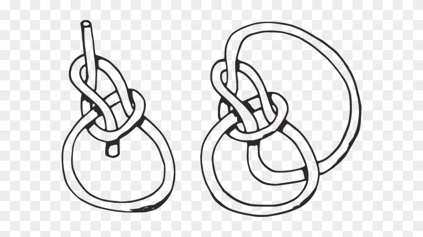 A Closure Of Bowline Knot Projection - A Closure Of Bowline Knot Projection #1528358