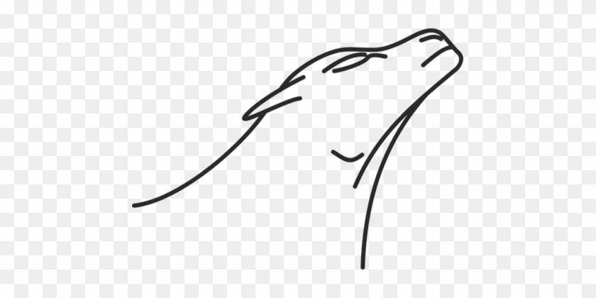 Line Art Drawing Lion Monochrome - Line Art Drawing Lion Monochrome #1529588