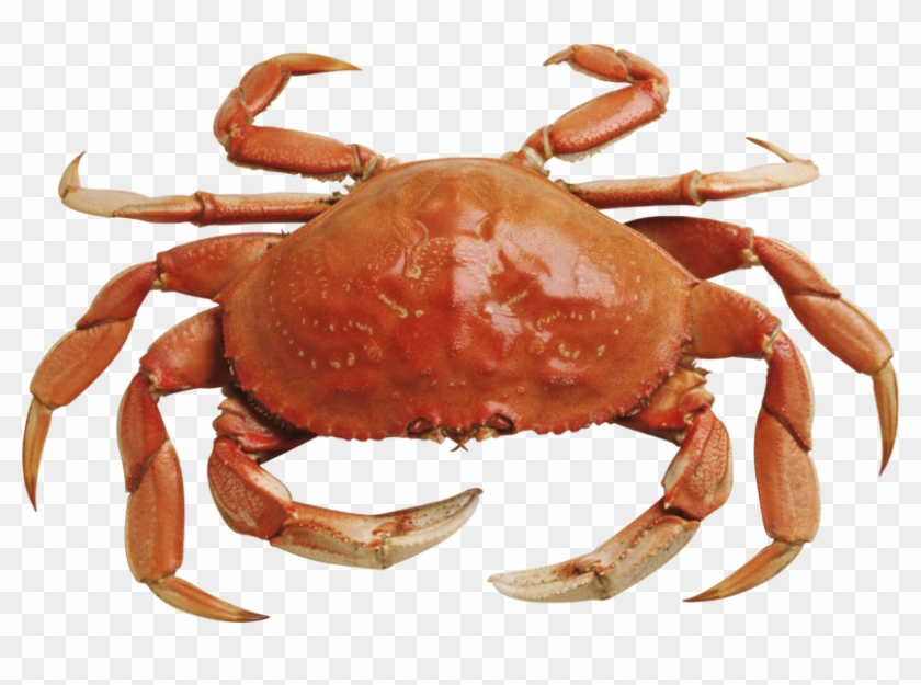 Clip Art Crab Planet - Clip Art Crab Planet #1529878