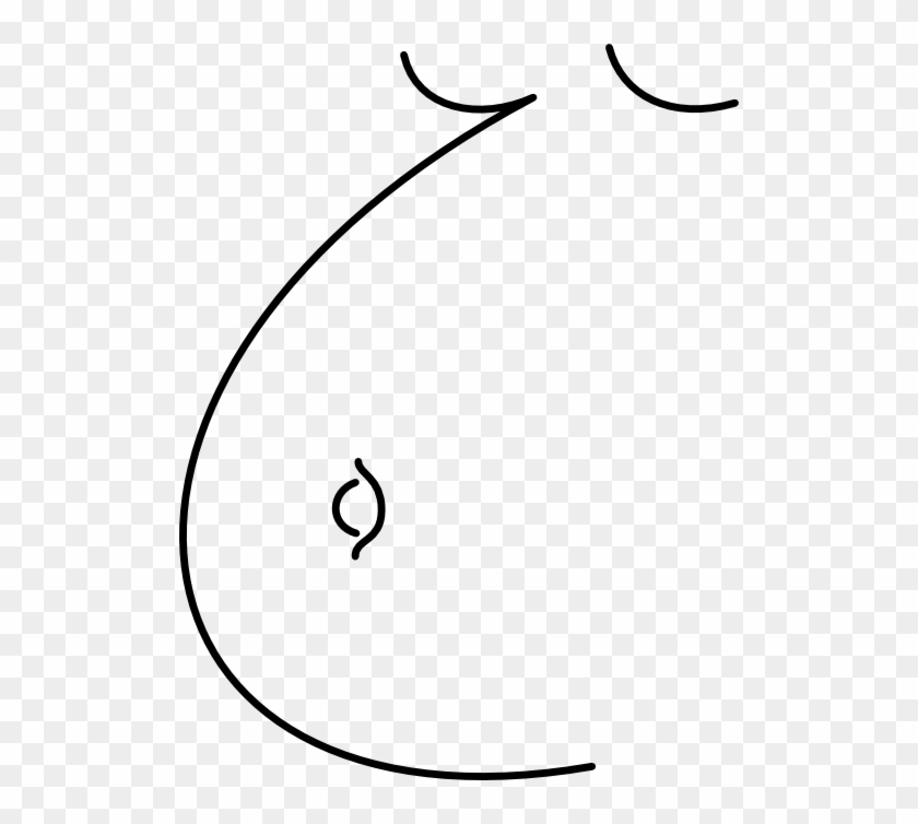 Svg Library Library Belly I Royalty Free Public Domain - Svg Library Library Belly I Royalty Free Public Domain #1530077