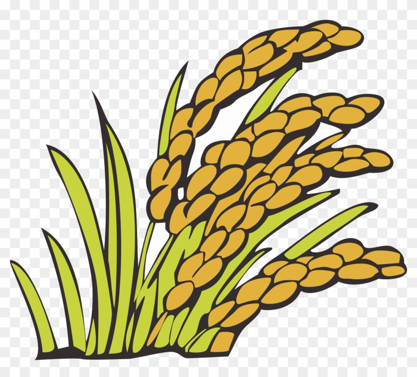 Wheat Clipart Bunga Padi - Wheat Clipart Bunga Padi #1530530