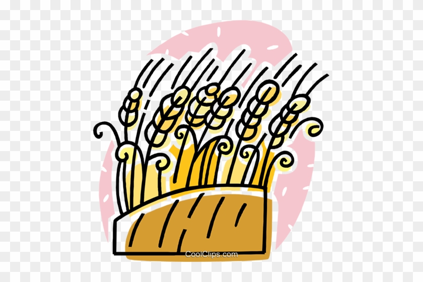 Wheat Royalty Free Vector Clip Art Illustration - Wheat Royalty Free Vector Clip Art Illustration #1530532