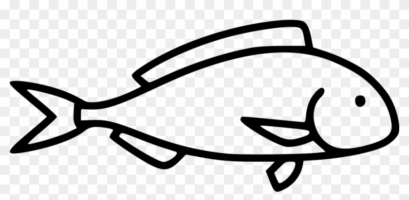 Seafood Fish Halibut Gilt-head Bream - Seafood Fish Halibut Gilt-head Bream #1530544