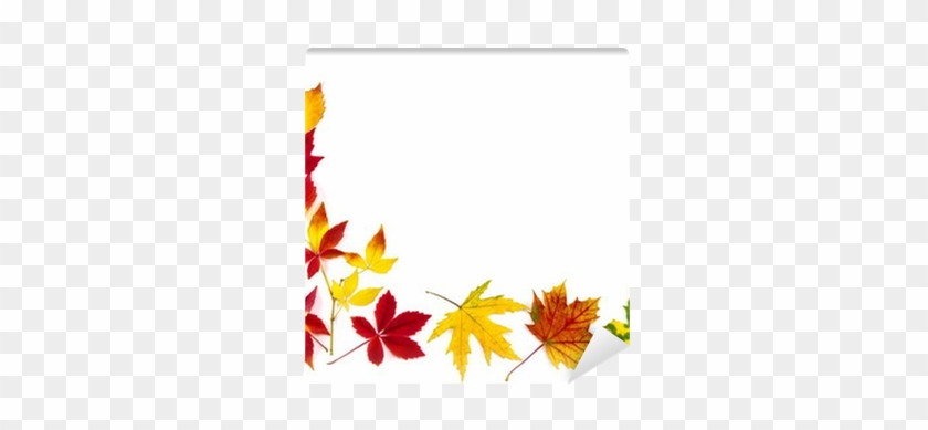 Bunter Rahmen Aus Herbstblättern Wall Mural • Pixers® - Autumn Leaves Frame #237806