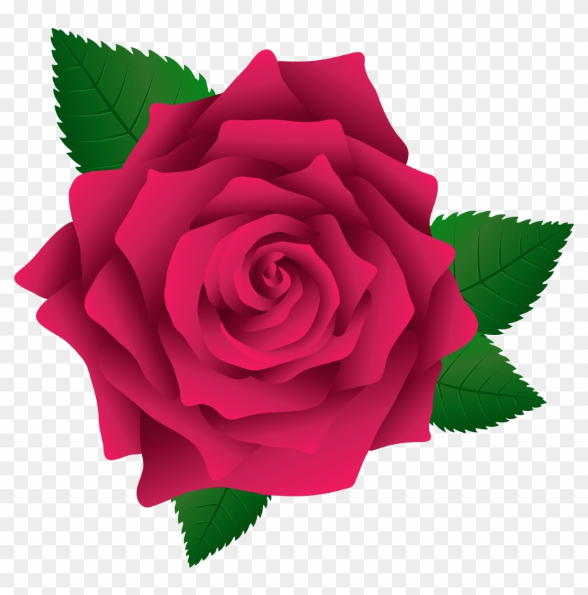 Pink Rose Png Image Clipa - Pink Rose Png Image Clipa #238006