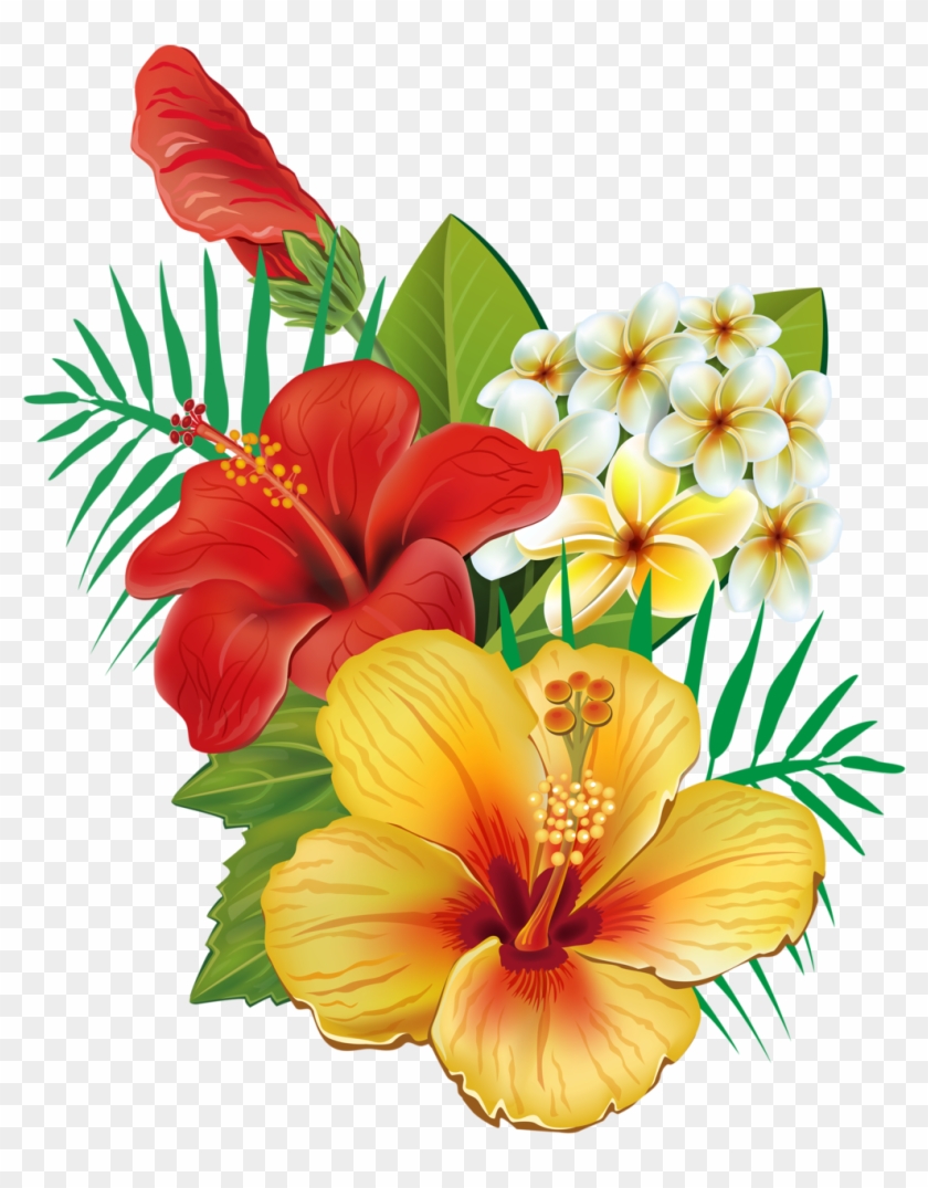 Erkunde Dissen, Exotische Blumen Und Noch Mehr - Cafepress Tropical Hibiscus Tile Coaster #238969