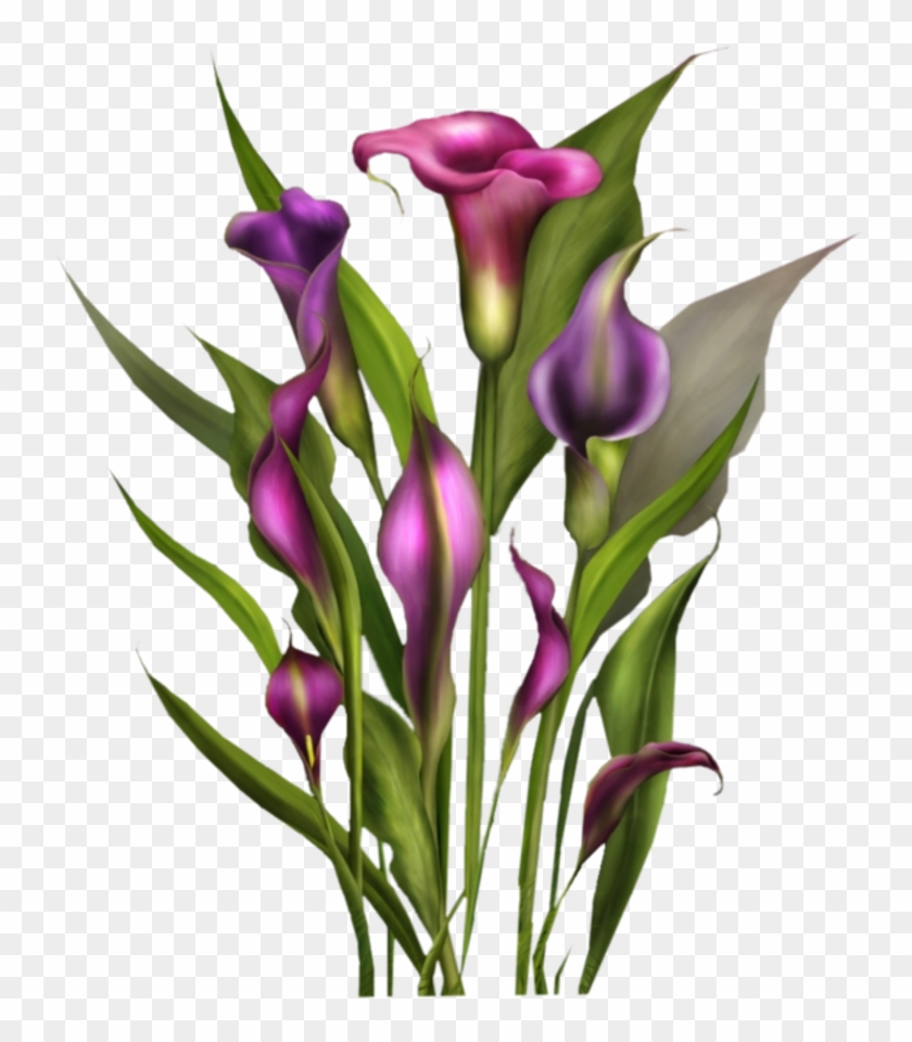 Gifs Et Tubes Fleurs Pour Scrapbooking Page 2 Tableau - Imagem Com Nome Ivanilda #239291