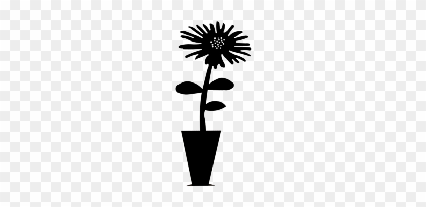 Houseplant #240338