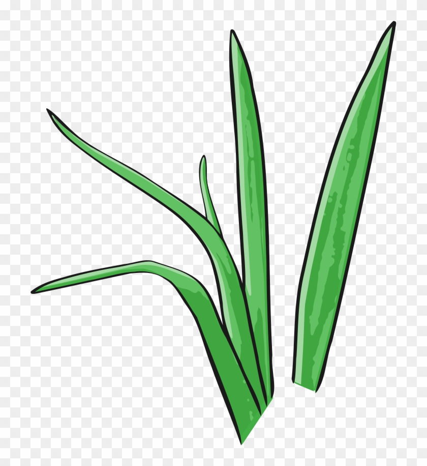 Green Grass Rooweb Clipart - Green Grass Rooweb Clipart #240396