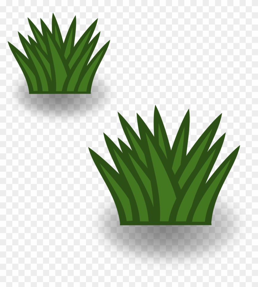 Grassland Border Clipart - Grasslands Clipart #240562